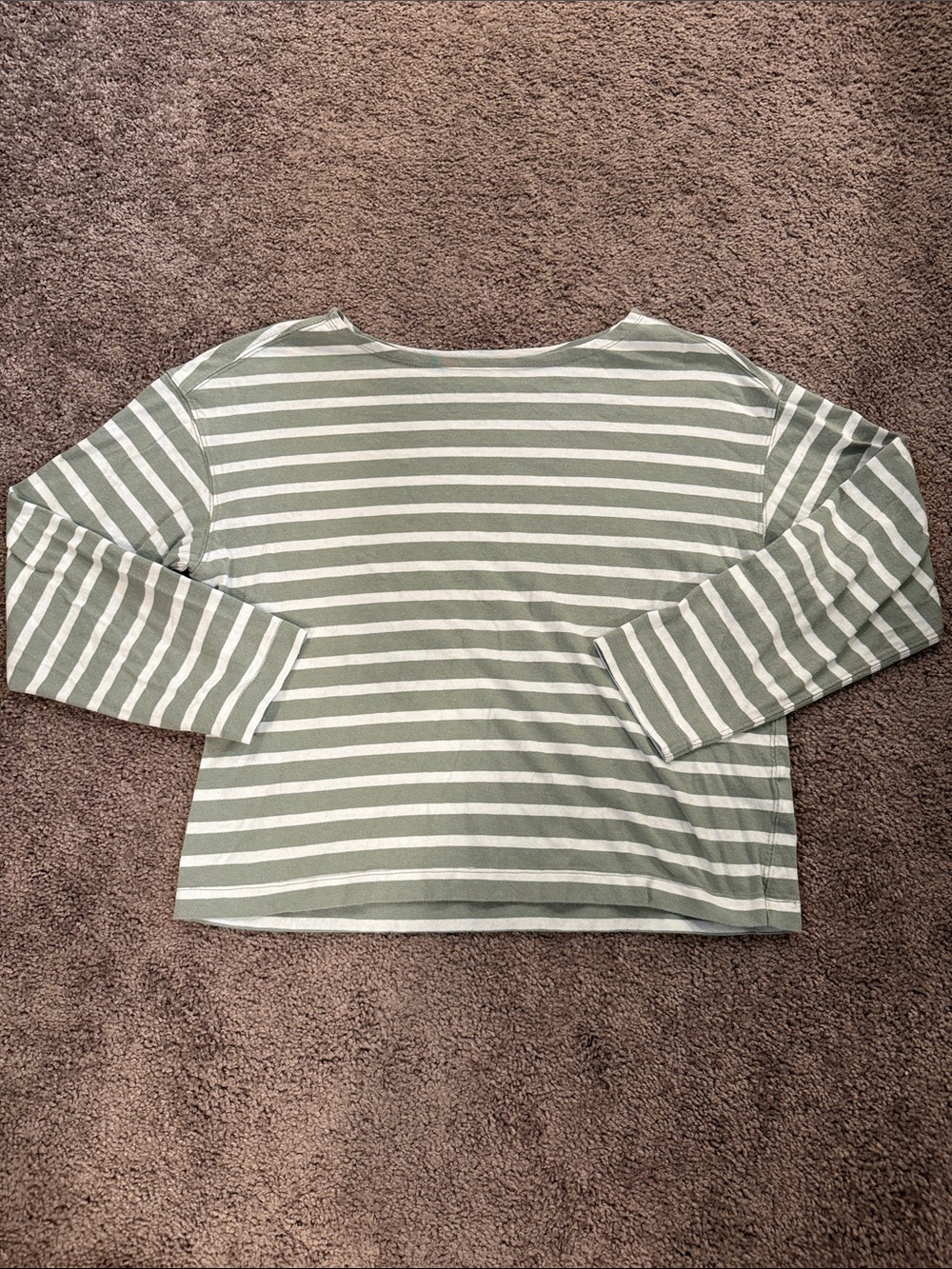 Everlane Sage and White Striped Long-Sleeve Top